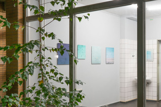 Installation view Agfacolor